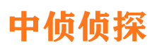 麻章寻人公司